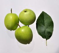 Transparente Blanche æbler med blad